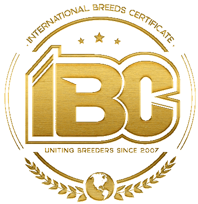 IBC Dogs